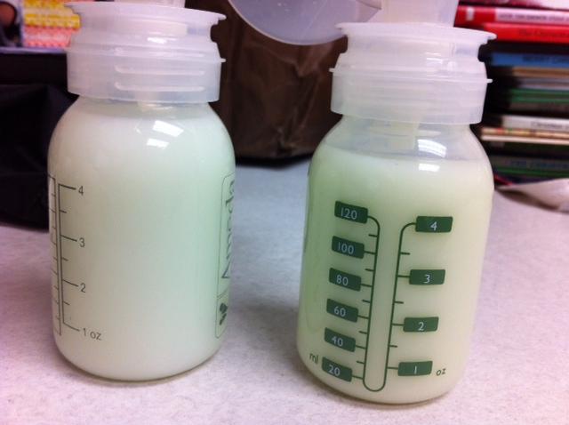 Breast Milk in Bottles or Storage Bags (image credits: wikimedia)