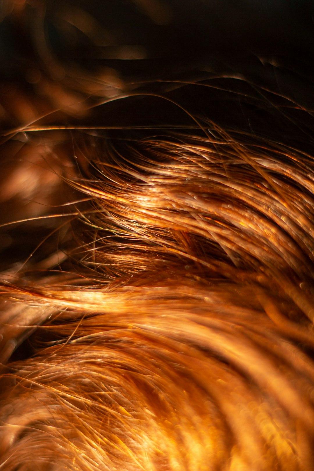 Brittle Nails and Hair Loss (image credits: unsplash)