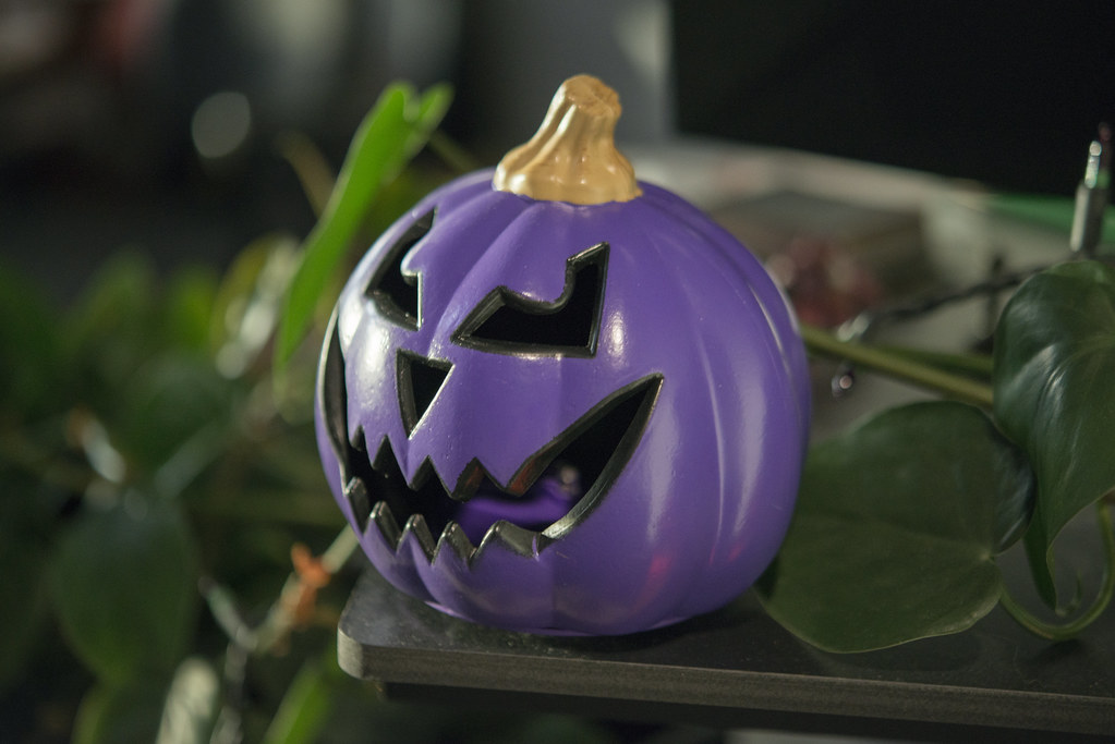 The Story Behind the Purple Pumpkin Movement (Image Credits: Flickr)