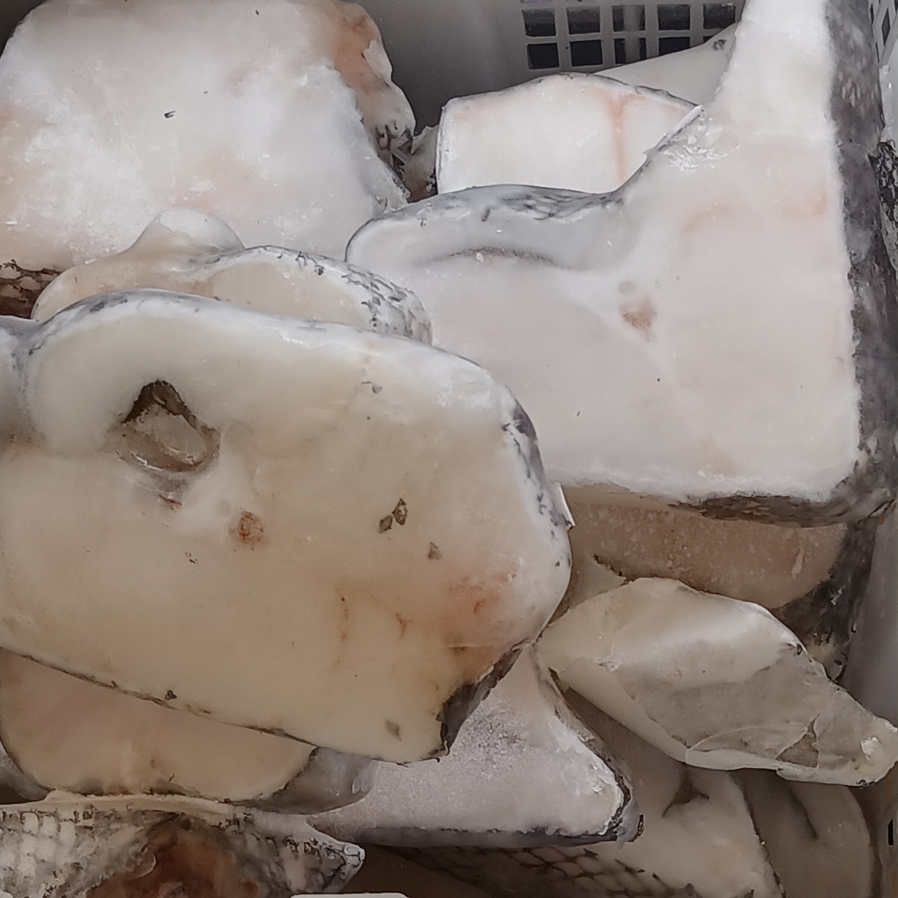 Frozen Cod and White Fish Fillets (image credits: By Fumikas Sagisavas, CC0, https://commons.wikimedia.org/w/index.php?curid=150320807)