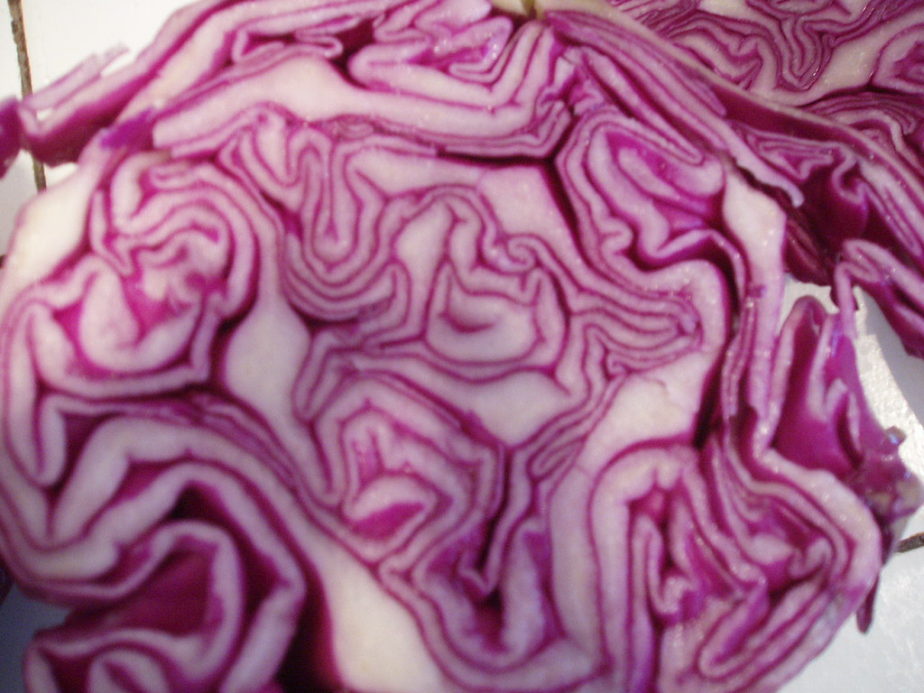 Purple Cabbage: The Colorful Cruciferous Champion (image credits: flickr)
