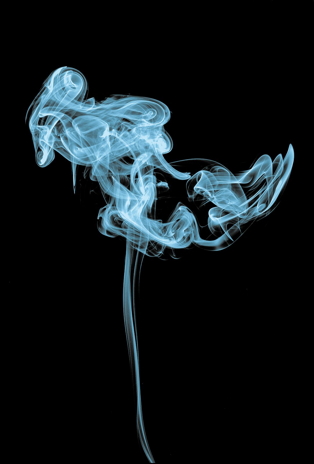 The Science Behind the Smoke Flavor (image credits: unsplash)