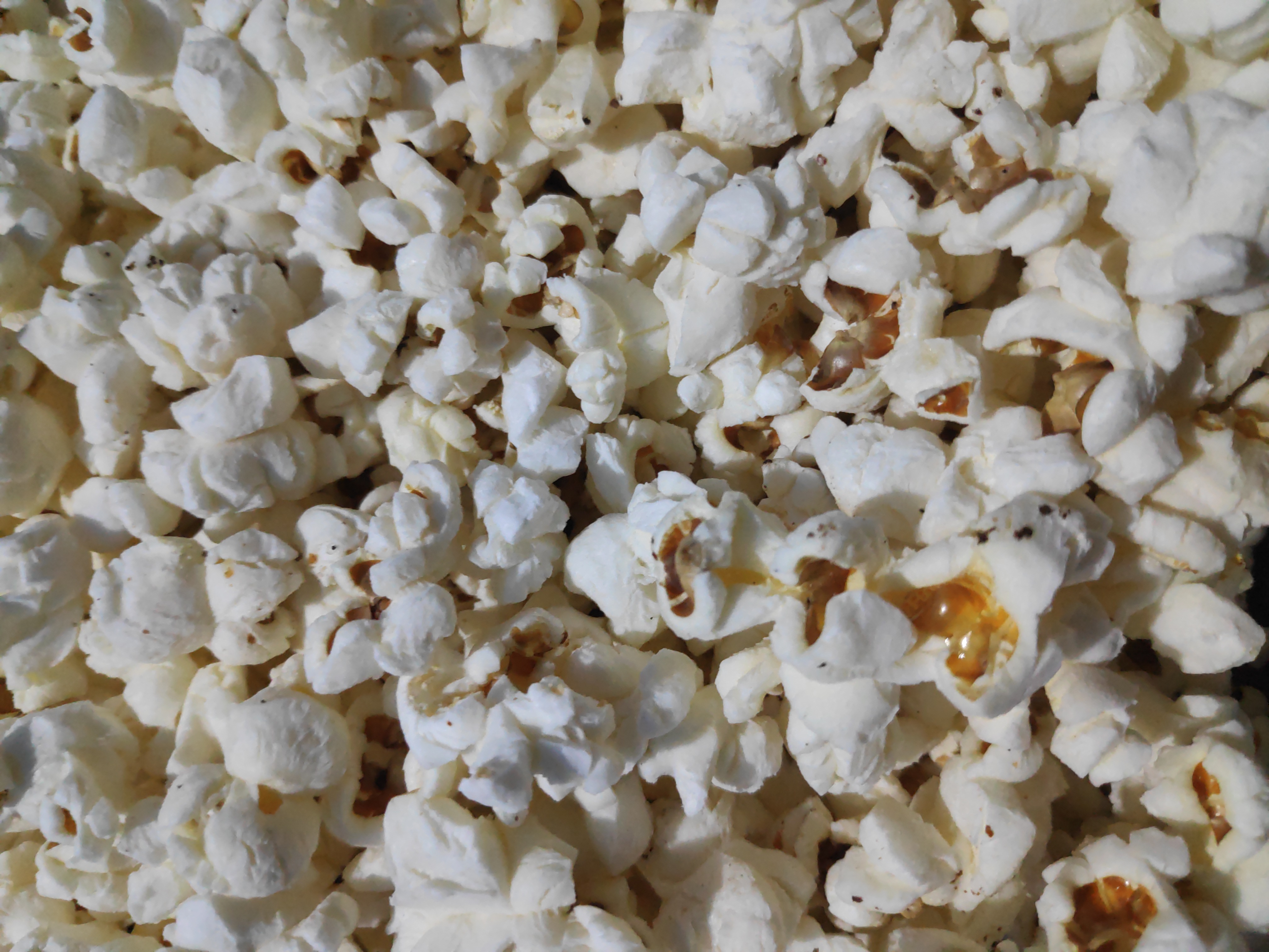 Popcorn: The Surprising Whole Grain (image credits: wikimedia)