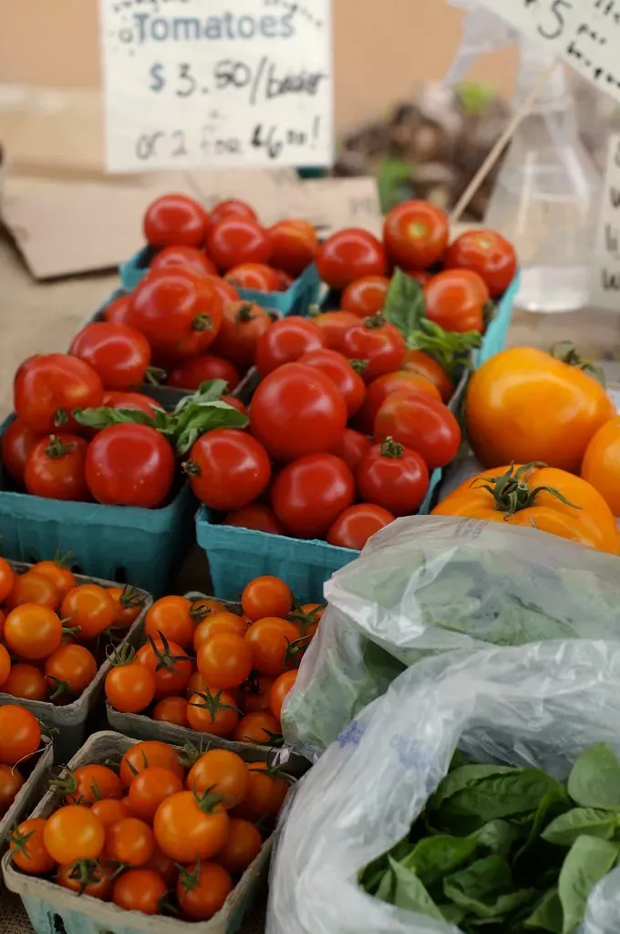 Basil and Tomato: A Mediterranean Love Story (ARTS, Flickr, CC BY 2.0)