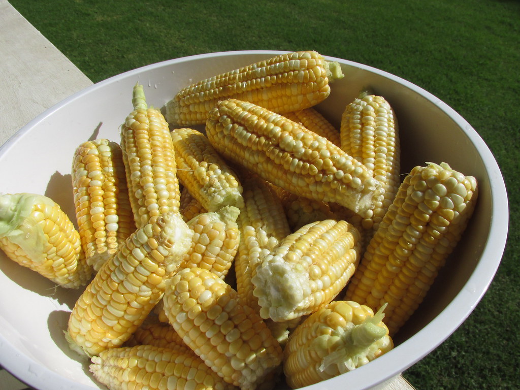 Creative Seasoning Beyond Salt and Pepper (image credits: flickr)