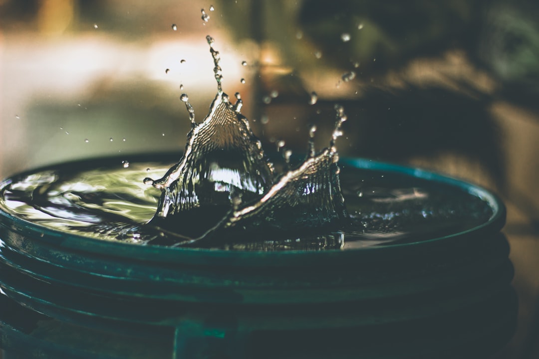 Water Conservation Beyond Your Wildest Dreams (image credits: unsplash)