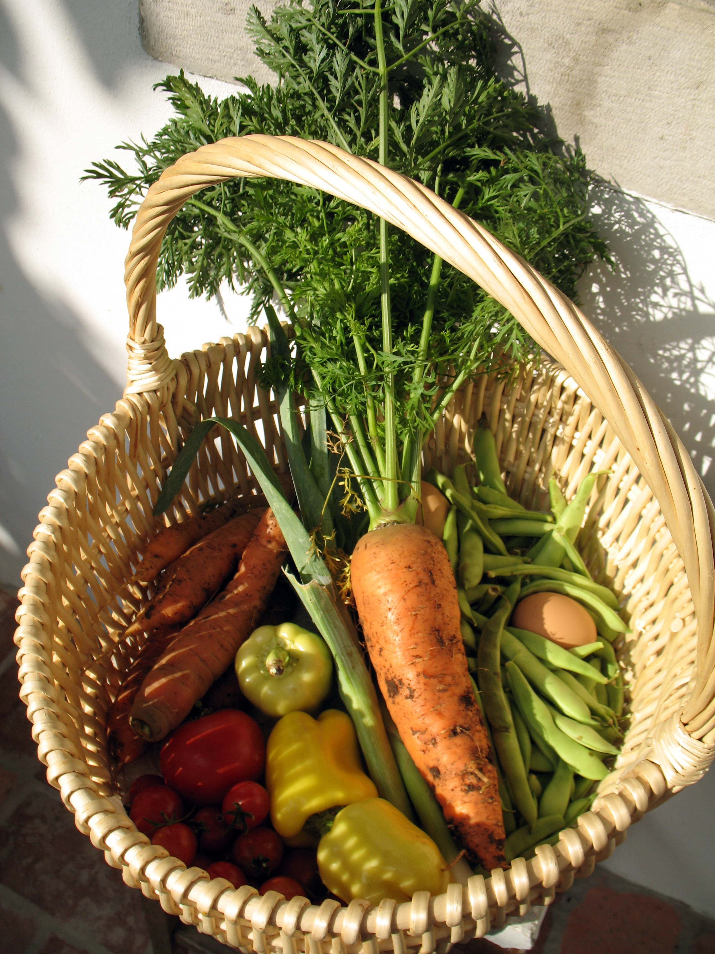 Garden-Fresh Vegetables Beat Store Varieties Every Time (image credits: wikimedia)