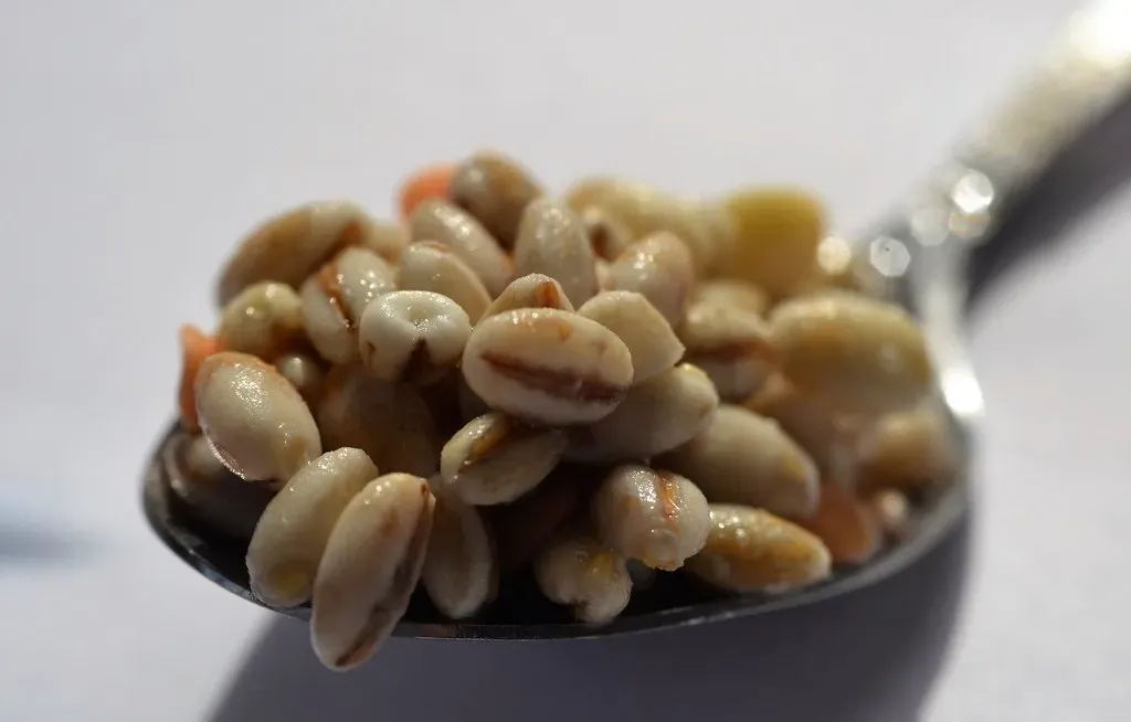 Lentils: Fiber, Protein, and a Potassium Punch (conall.., Flickr, CC BY 2.0)