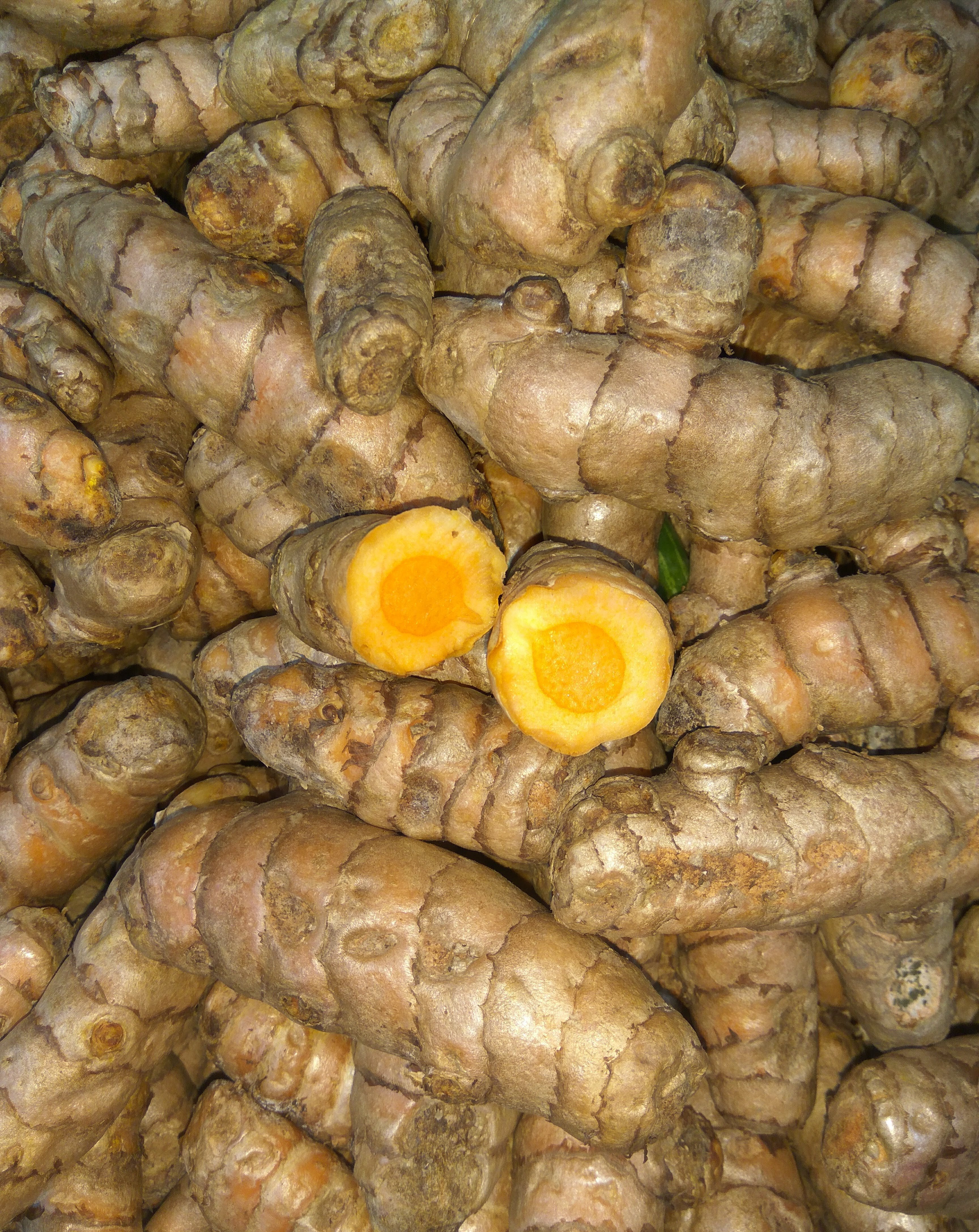 Turmeric: The Golden Healer (image credits: wikimedia)