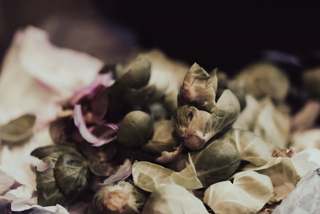 Master the Art of Vegetable Scrap Magic (Image Credits: Unsplash)