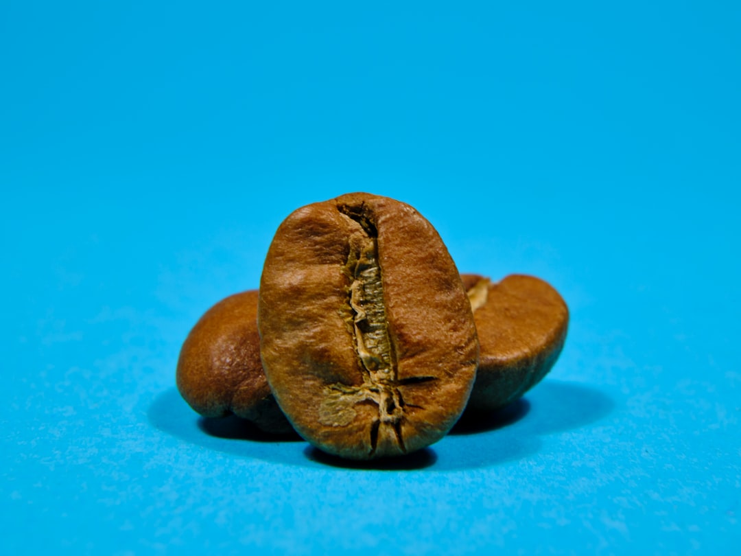 Macadamia Nuts (image credits: unsplash)