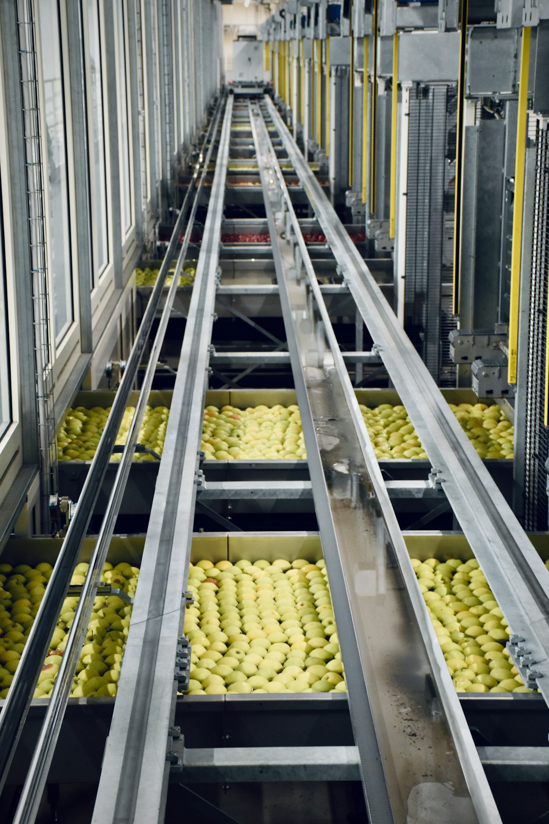 Logistics: From Market to Meal (image credits: unsplash)