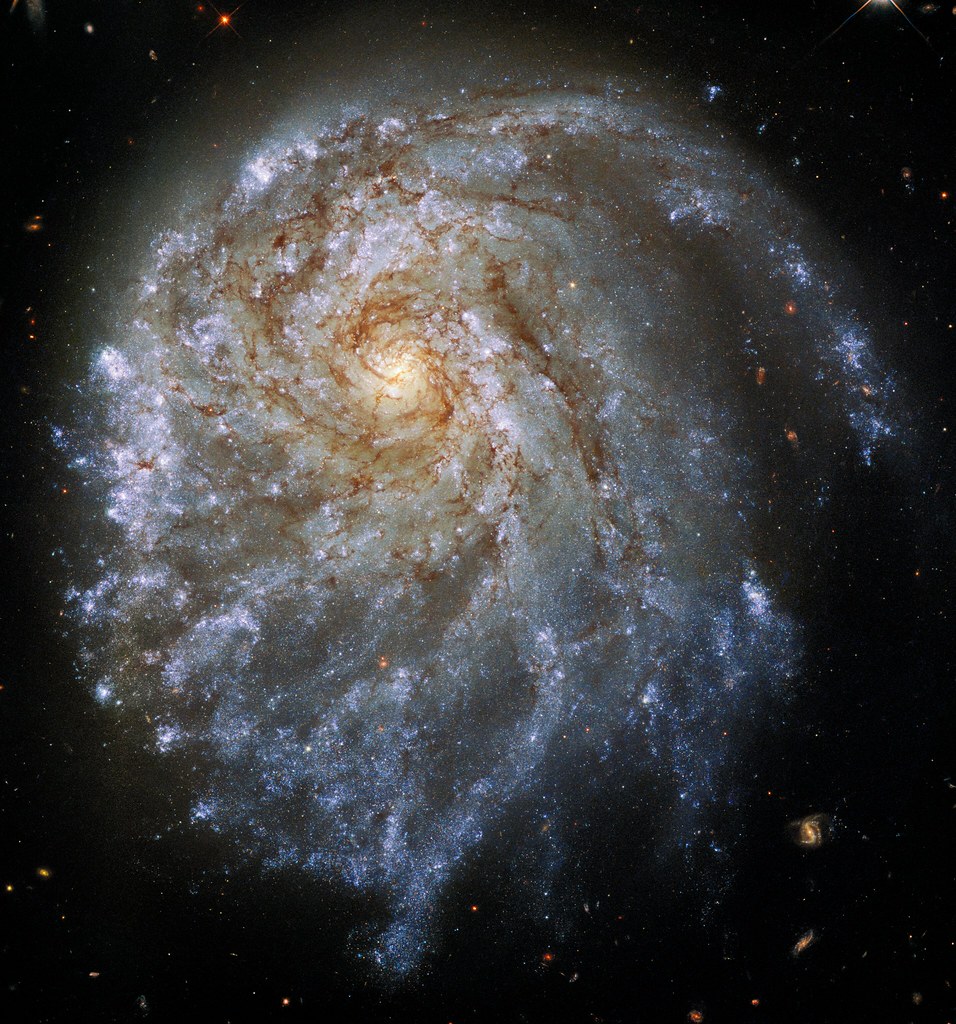 Heat Transfer Revolution: Microgravity Cooking Breakthroughs (image credits: flickr)