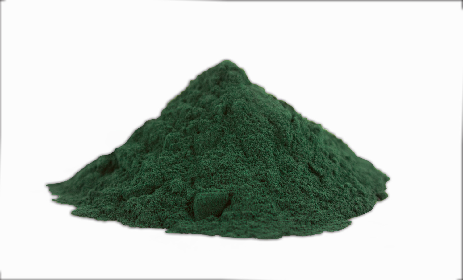 Spirulina: The Blue-Green Protein Powerhouse (image credits: wikimedia)