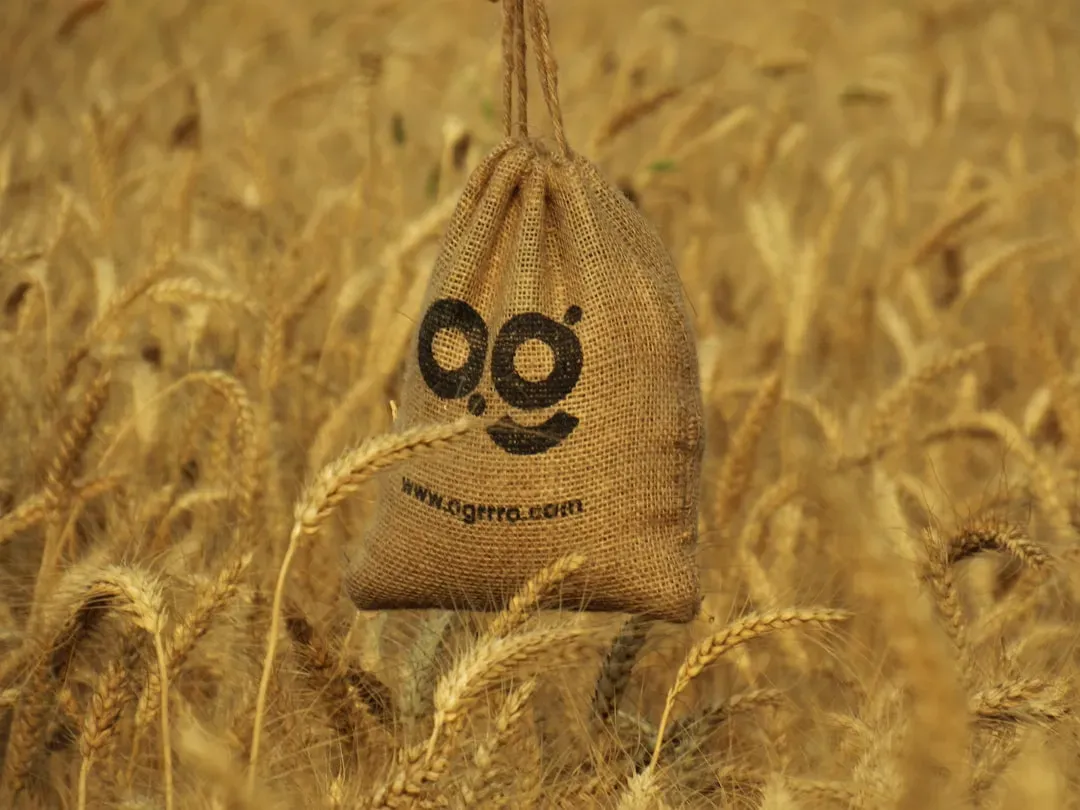 The Whole Grain Stamp: What It Guarantees and What It Doesn't (Image Credits: Unsplash)