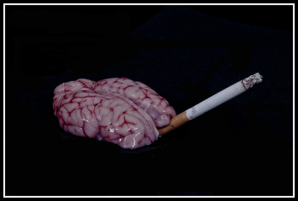 Your Brain Chemistry Gets Hijacked (image credits: flickr)