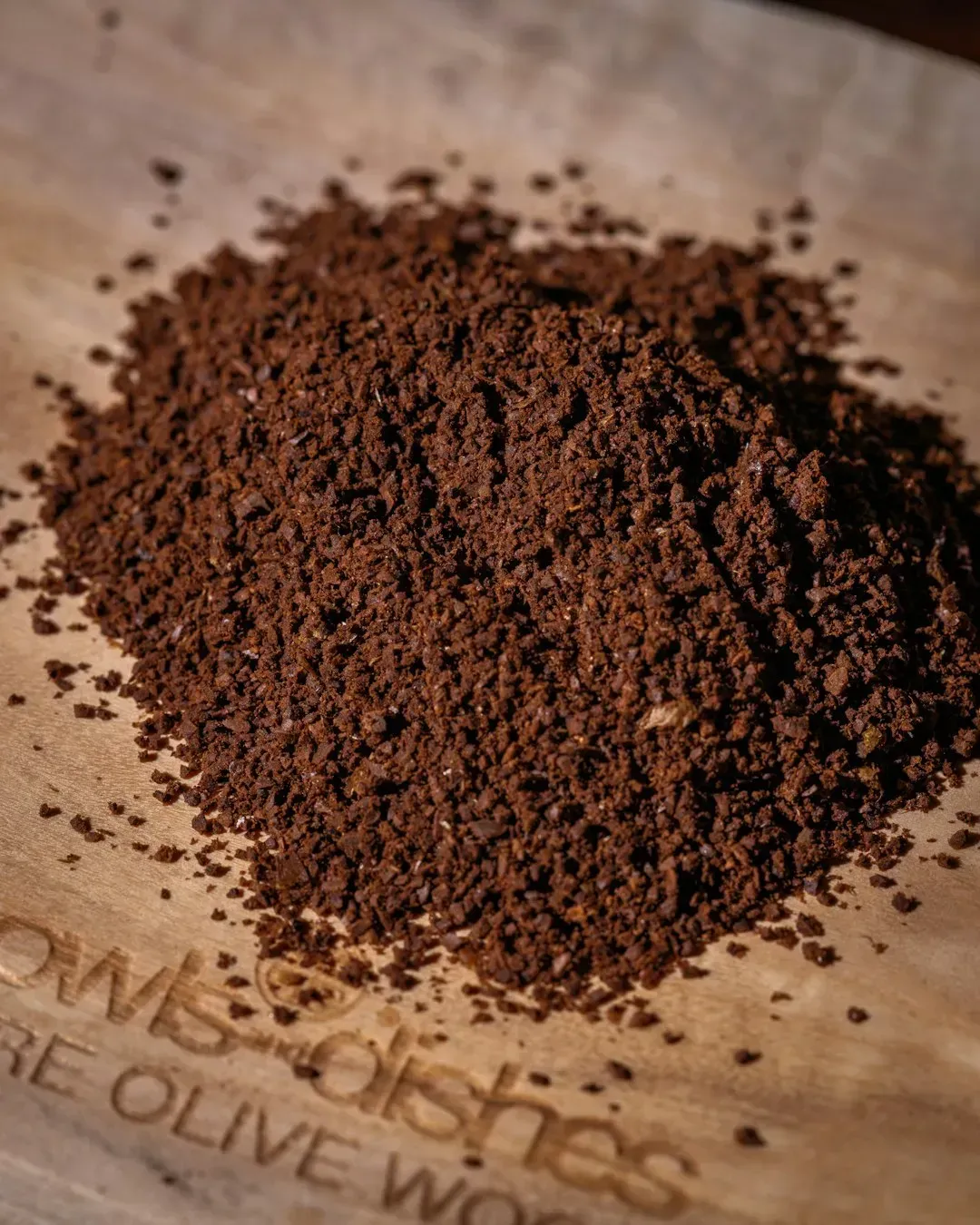 Cocoa Powder: The Mold Magnet (Image Credits: Unsplash)