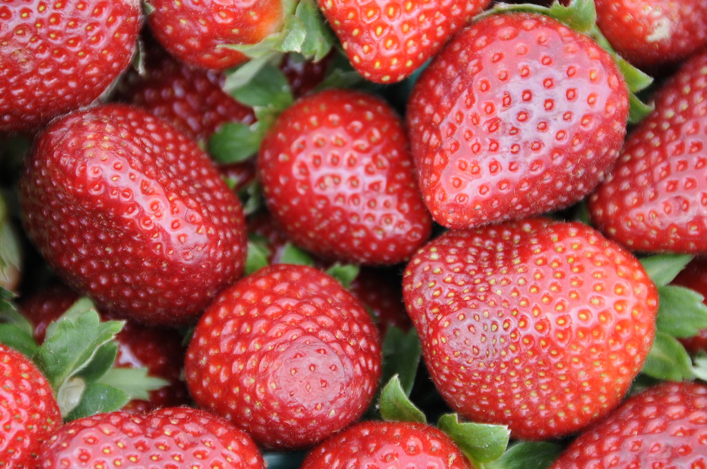 Strawberries: Size Over Sweetness (Image Credits: Flickr)