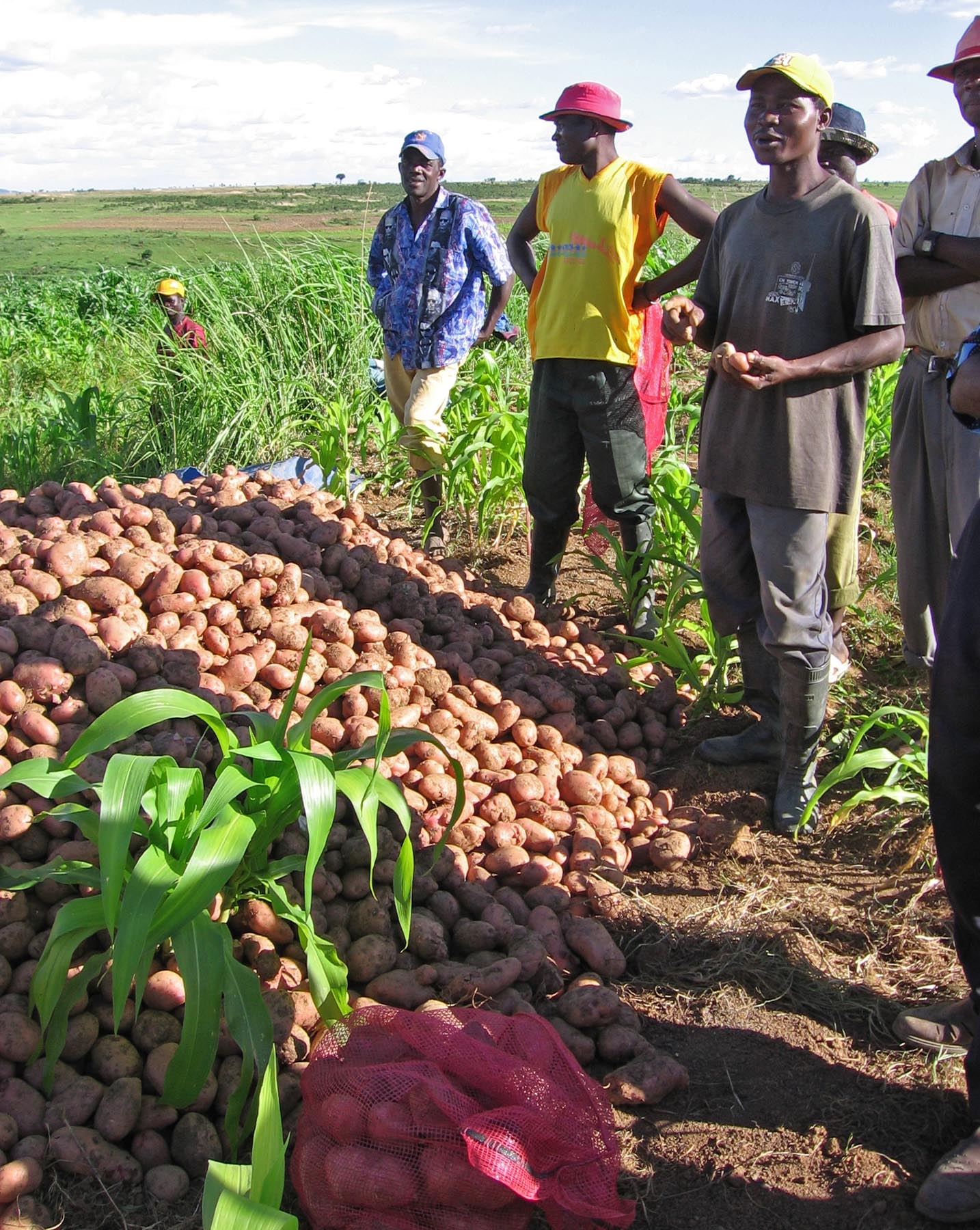 Government Support: A Helping Hand for Transitioning Farmers (image credits: wikimedia)