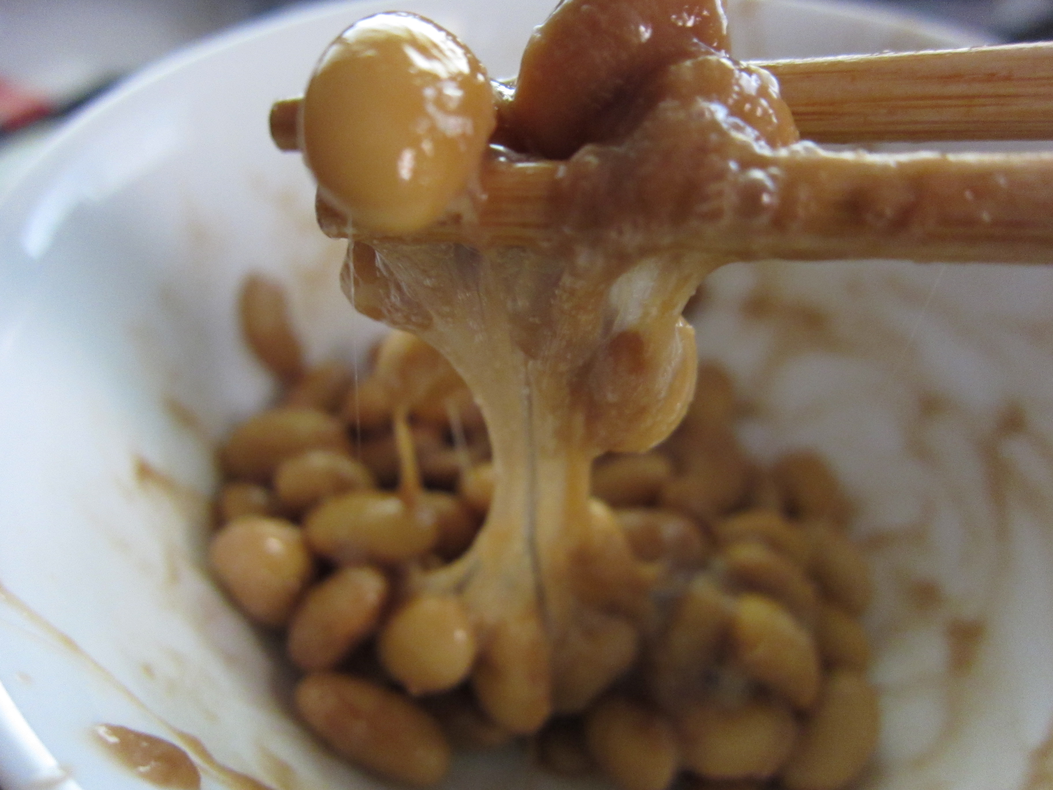 Natto: Japan's Sticky Superfood (image credits: wikimedia)