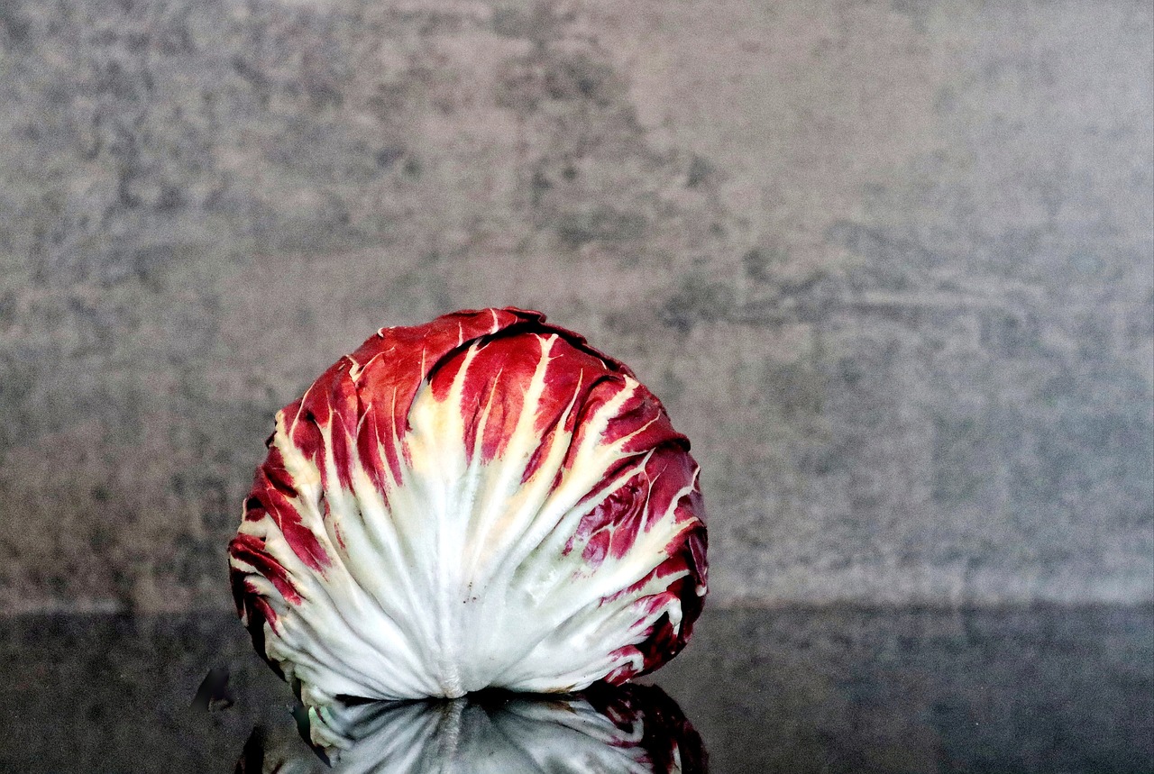 Radicchio: The Bitter Leaf with Benefits (image credits: pixabay)