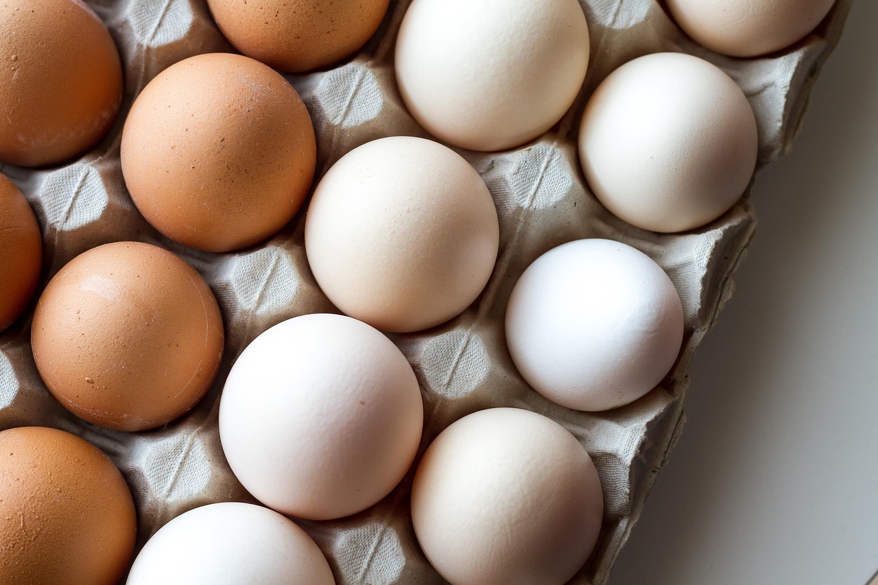 The Framingham Study Shows Eggs Actually Lower Cholesterol (Image Credits: Pixabay)