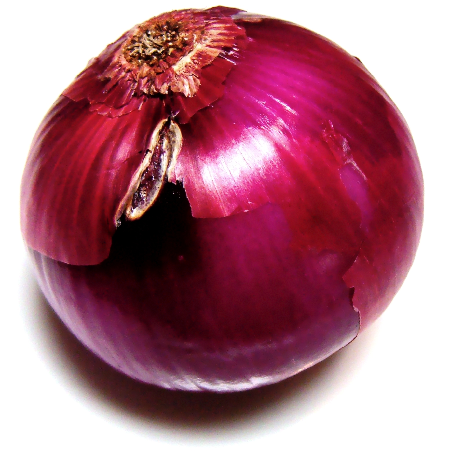 Onions: The Flavorful Foundation (Image Credits: Wikimedia)