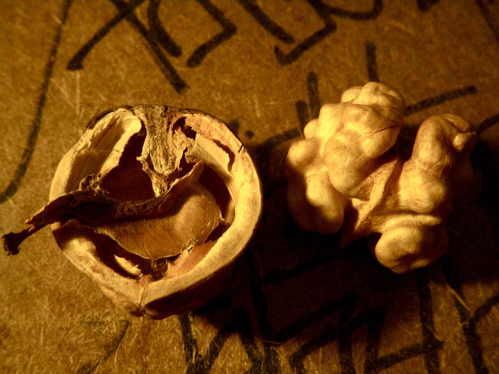 The Surprising Truth About Walnuts (image credits: flickr)