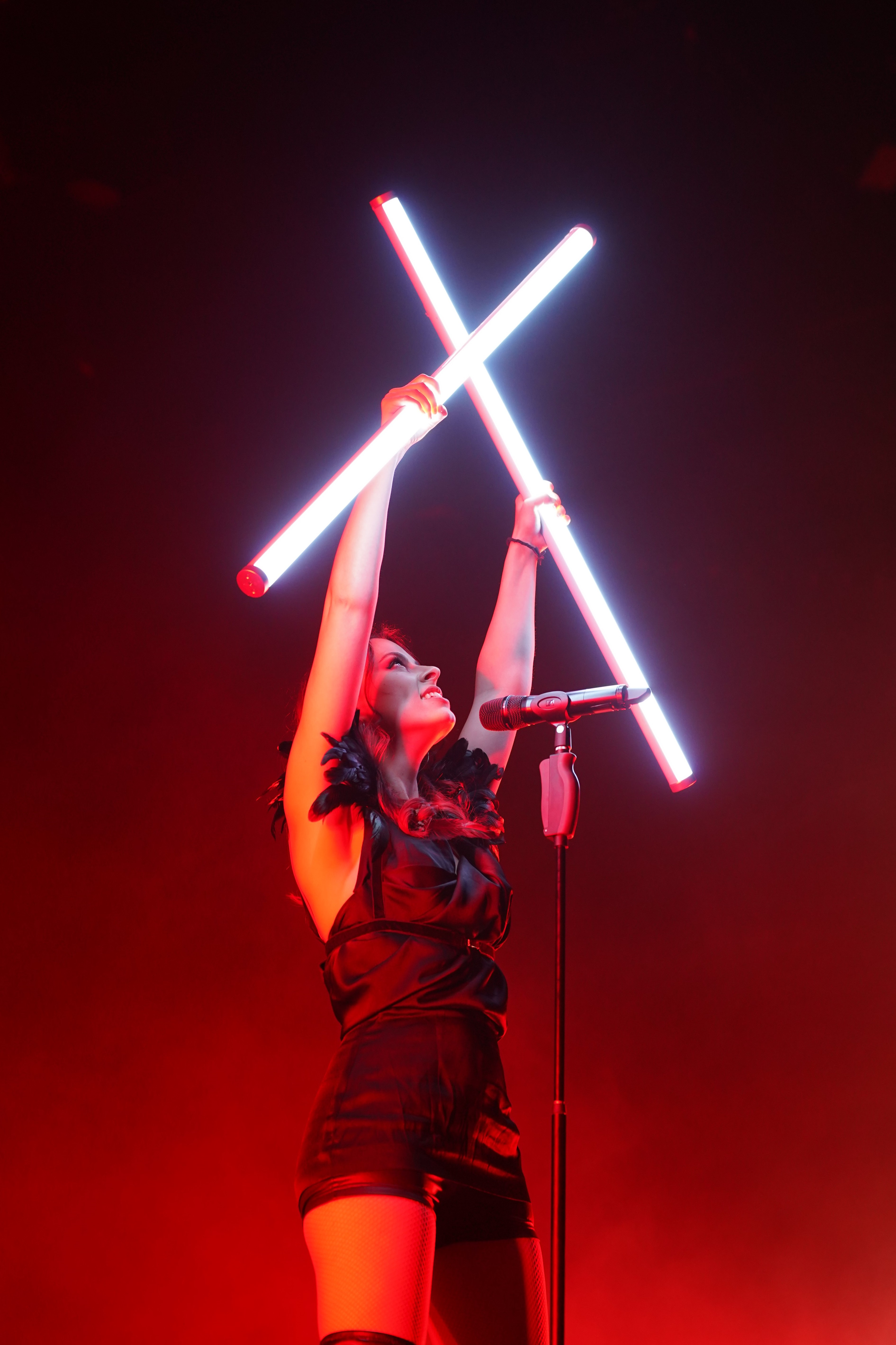 The Role of Celebrity Influence (image credits: wikimedia)