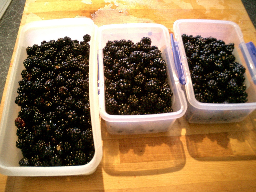 Blackberries: The Newcomer with a Problem (image credits: flickr)
