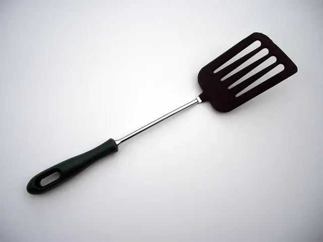 Fish Spatulas Excel Beyond Their Name (Image Credits: Wikimedia)
