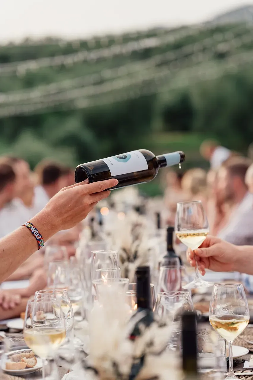 A Vineyard Shaped by Coastal Climate and Unique Geology (Image Credits: Pixabay)