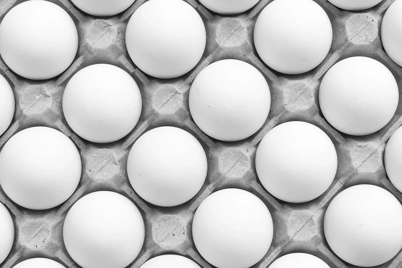 1. Egg Whites (Image Credits: Pixabay)