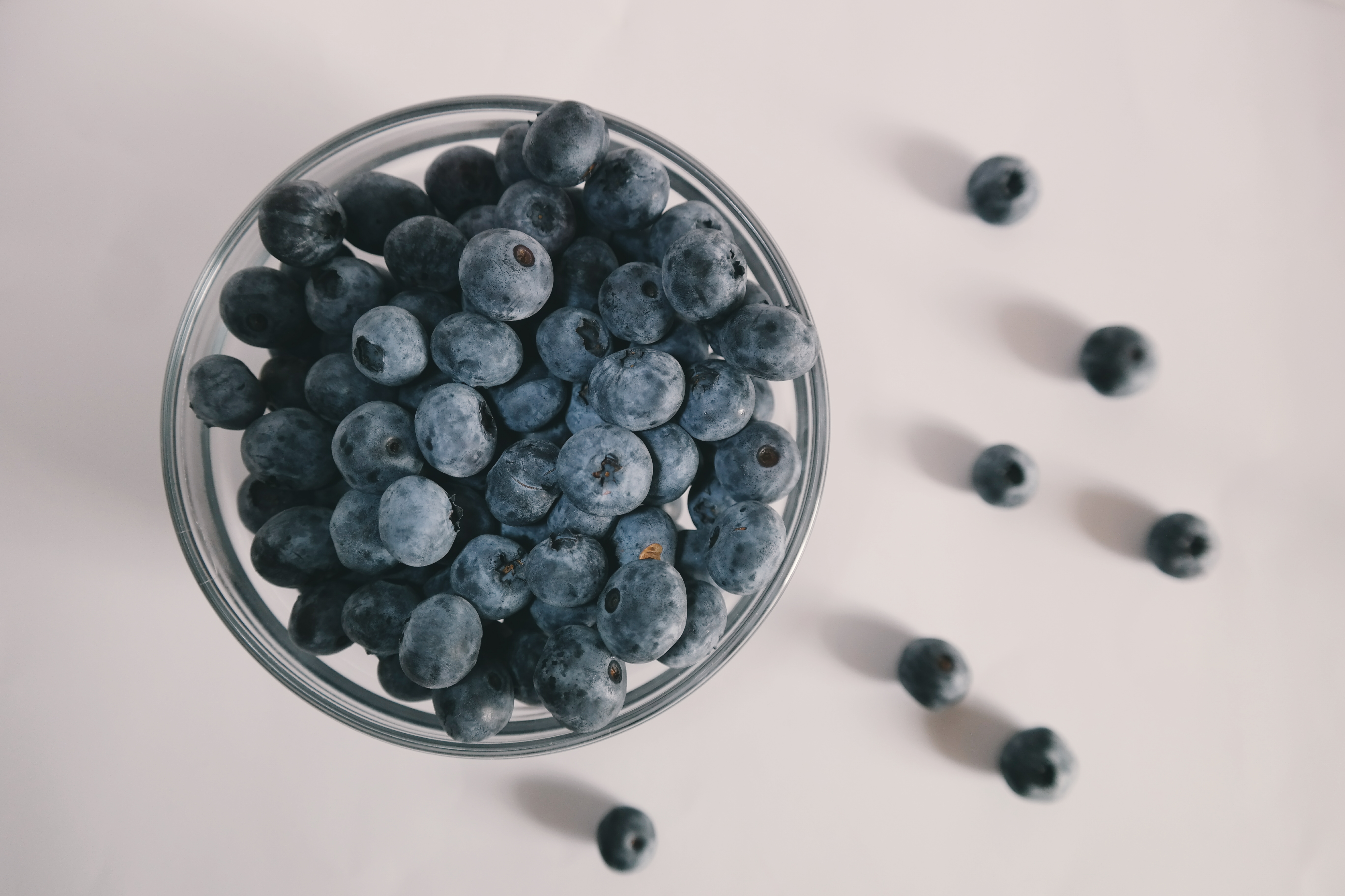 Blueberries: The Tiny Powerhouses (image credits: wikimedia)