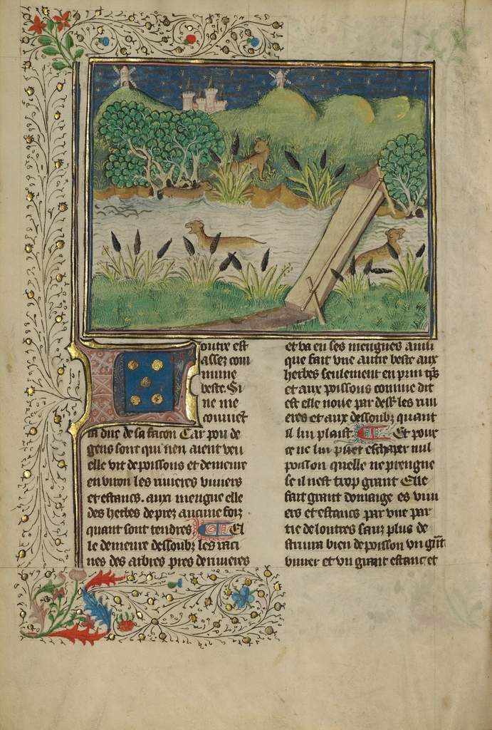 Medieval Manuscripts and Monastic Innovation (image credits: rawpixel)