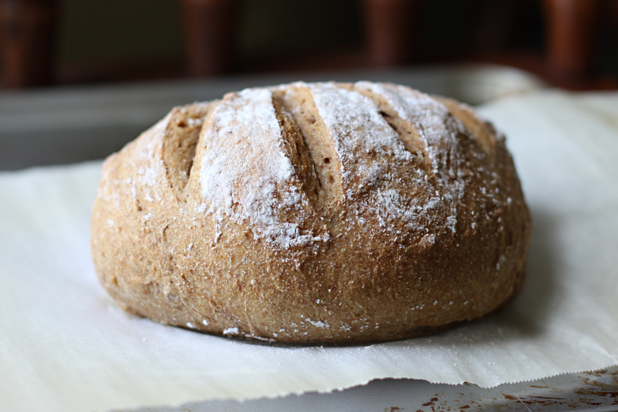 Consumer Trends: Shifting Attitudes Toward Bread and Health (image credits: wikimedia)