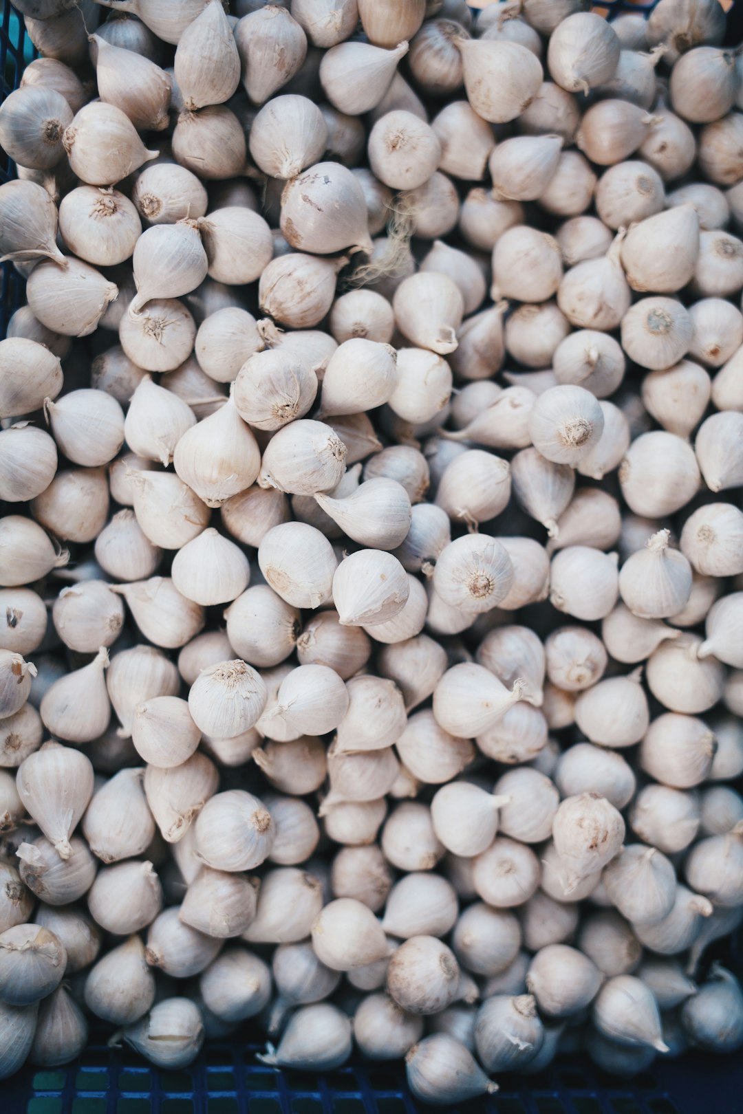 Garlic: Nature's Antibiotic (image credits: unsplash)