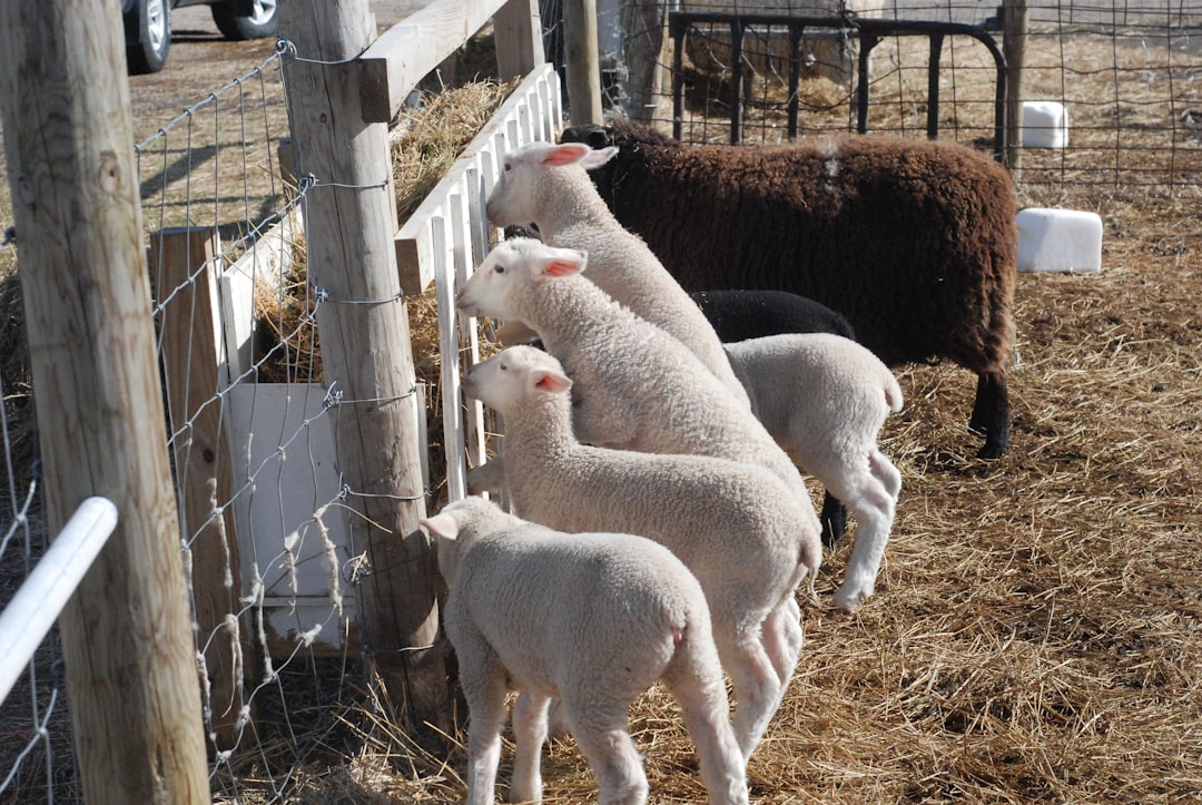 The Conservation Paradox: Eating to Save (Image Credits: Unsplash)