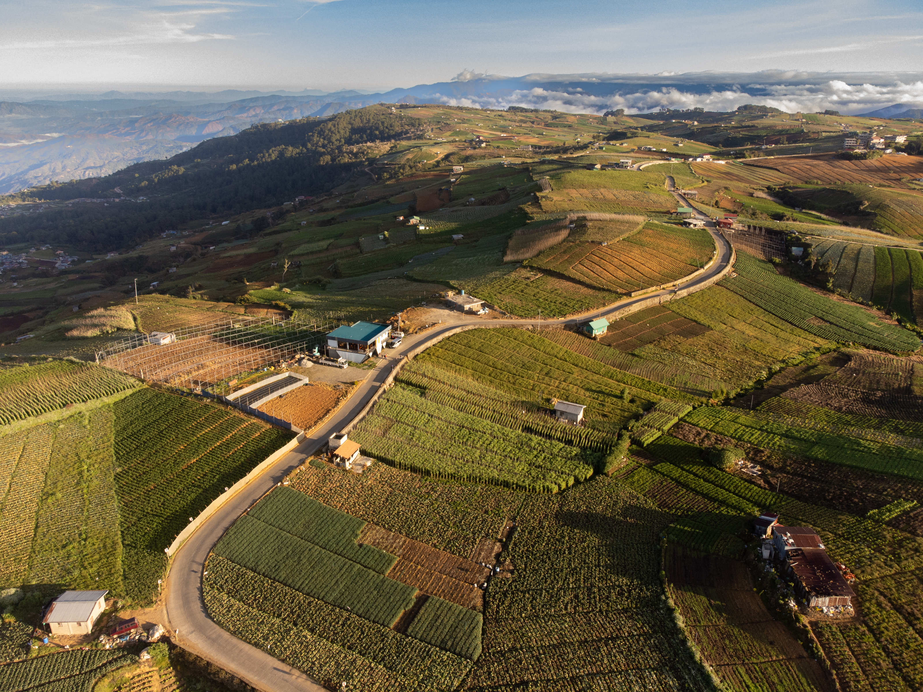 Greenhouse Gas Emissions: Not Always Lower (image credits: wikimedia)