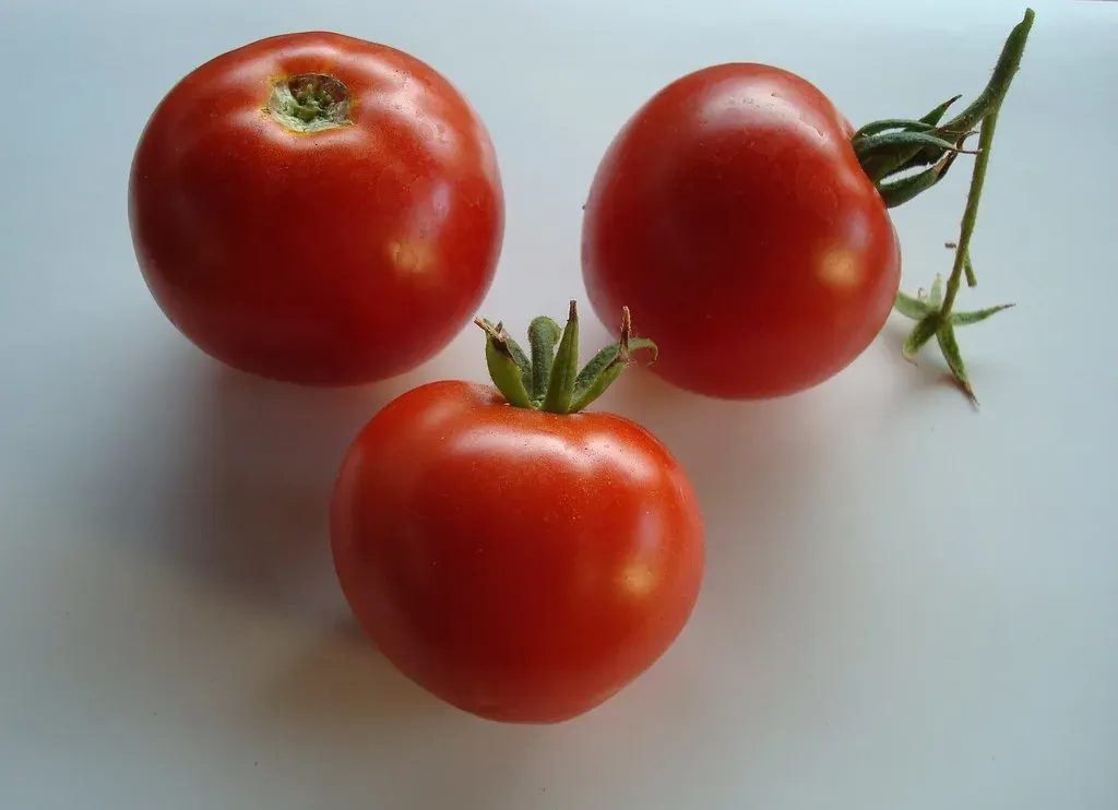 Volatile Compounds: The Secret to Tomato Aroma (Image Credits: Flickr)