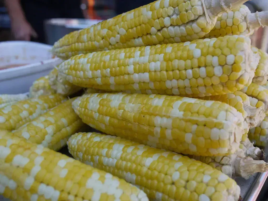 8. Corn and Corn Products Improperly Sealed (Image Credits: Flickr)