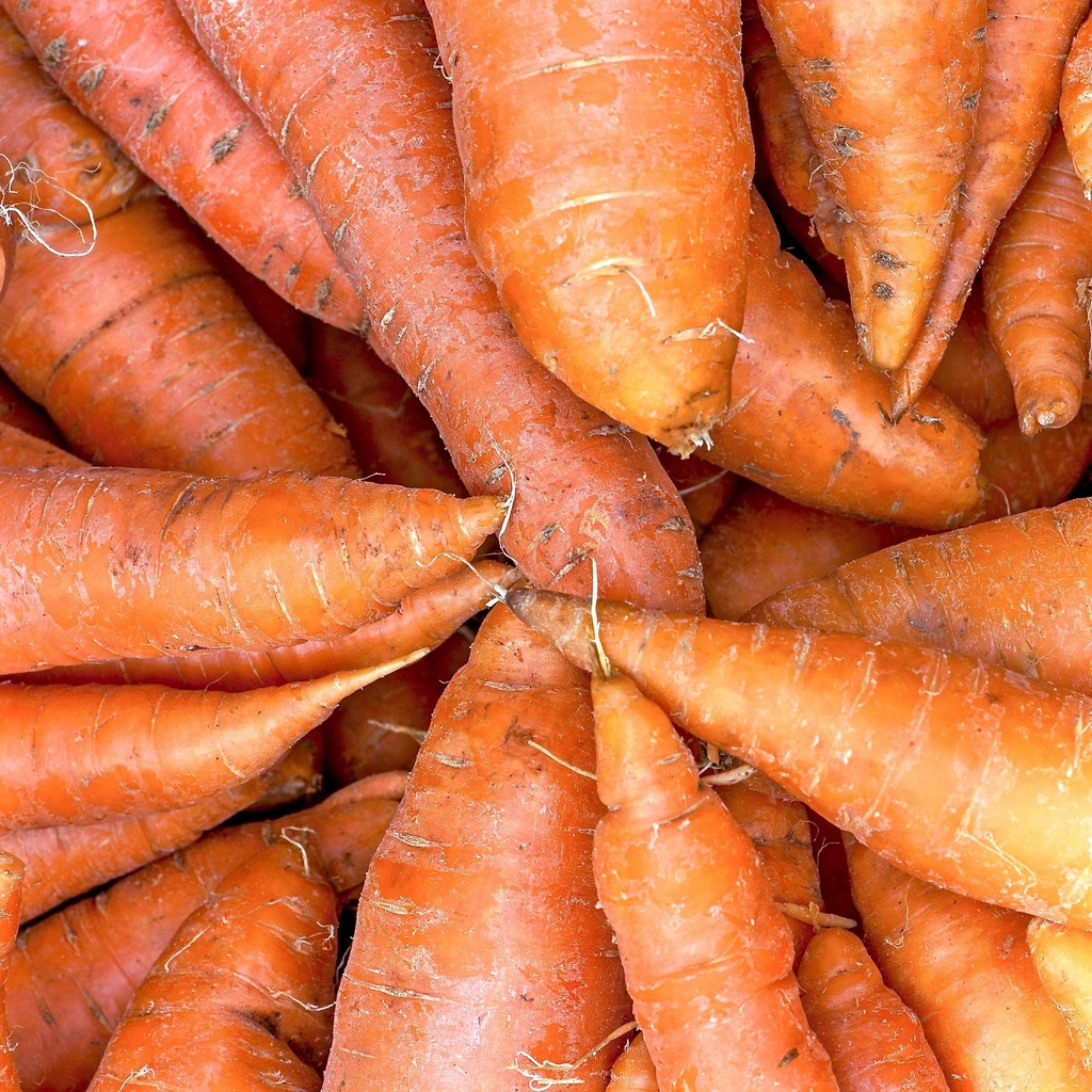 Carrots: Crunchy Sticks That Lower Bad Cholesterol (image credits: rawpixel)