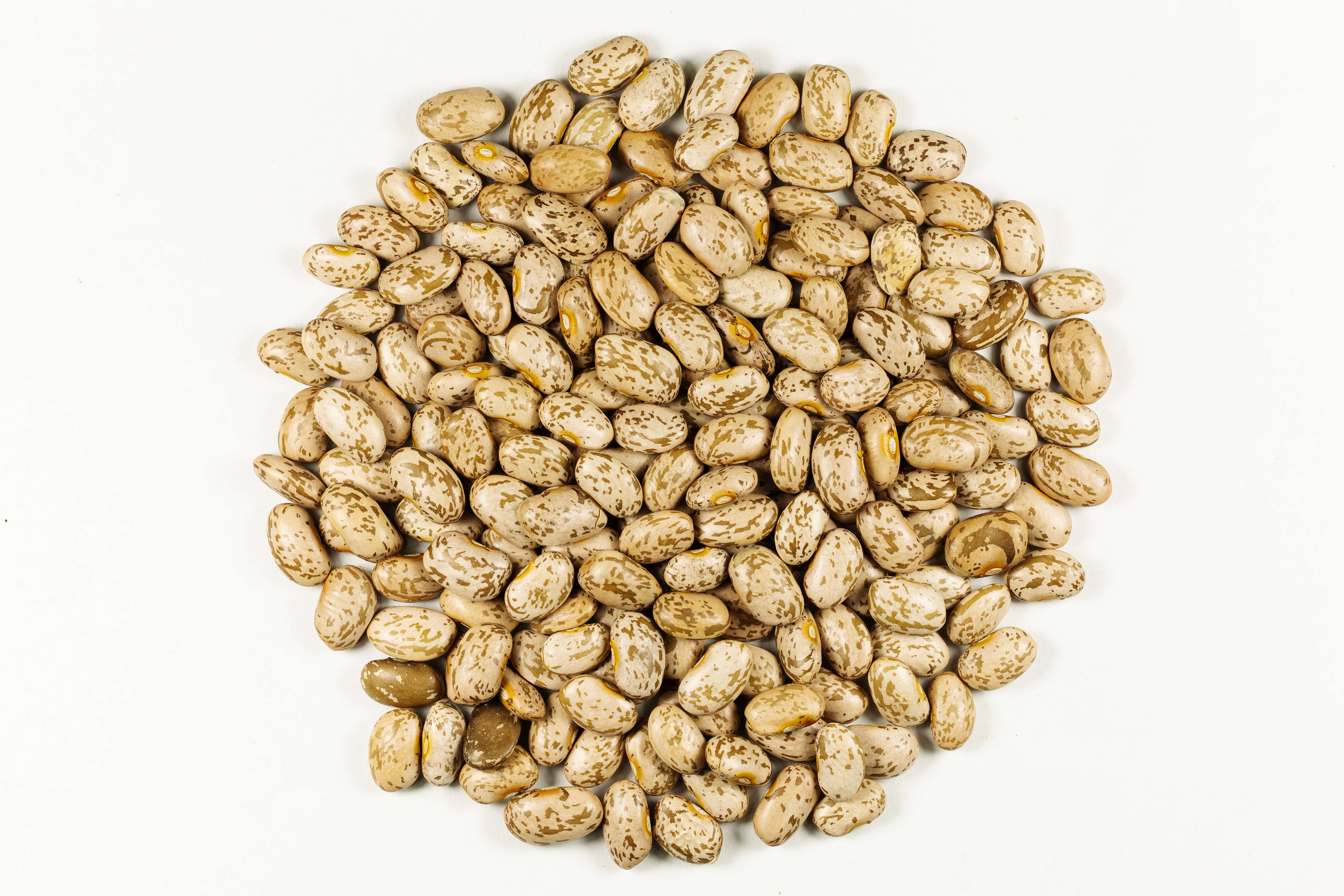 The Reliable Regular: Pinto Beans - The Steady Performer (image credits: flickr)