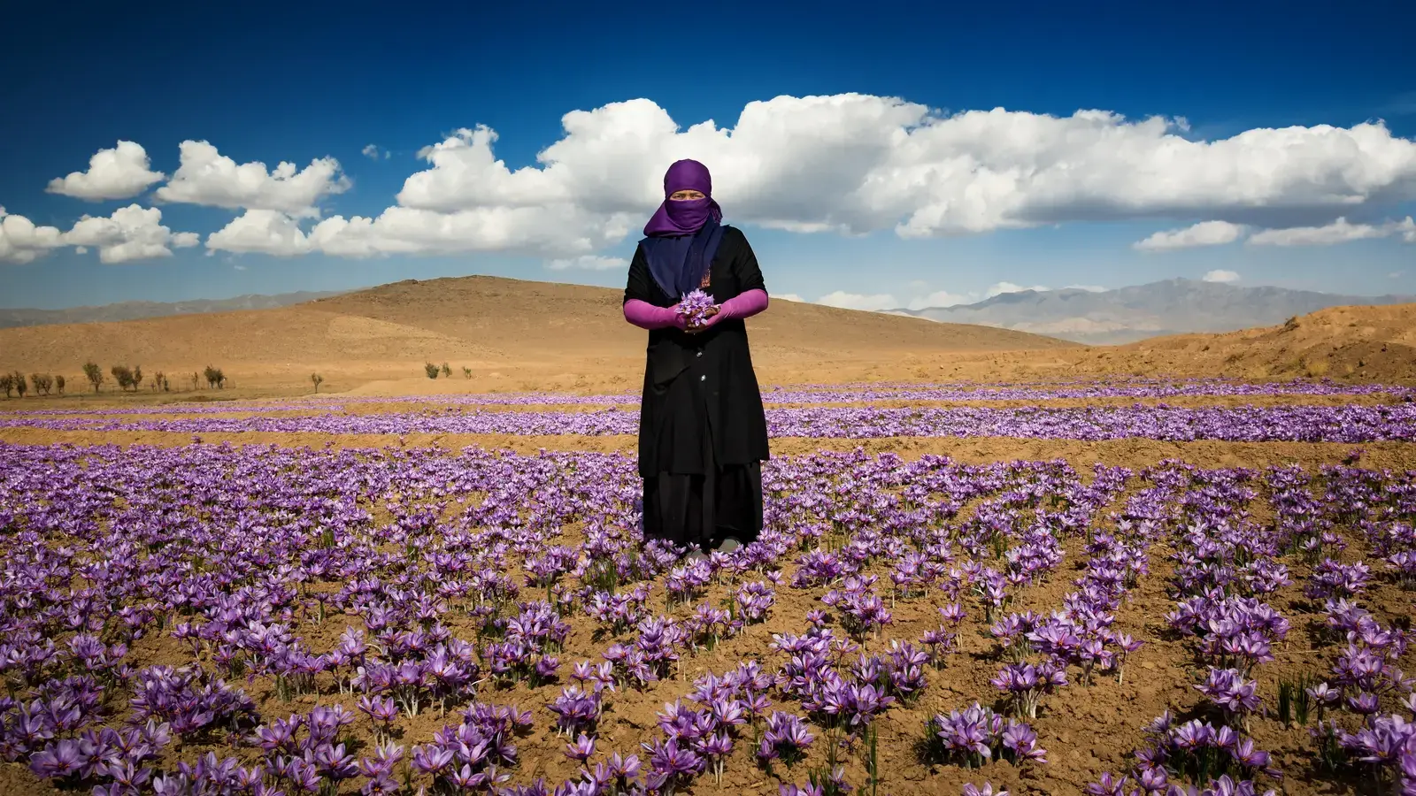 Why Machines Cannot Save the Day (By Akkasbashy, CC BY-SA 4.0)