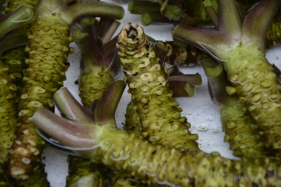 Wasabi: The Authentic Green Gold (image credits: unsplash)
