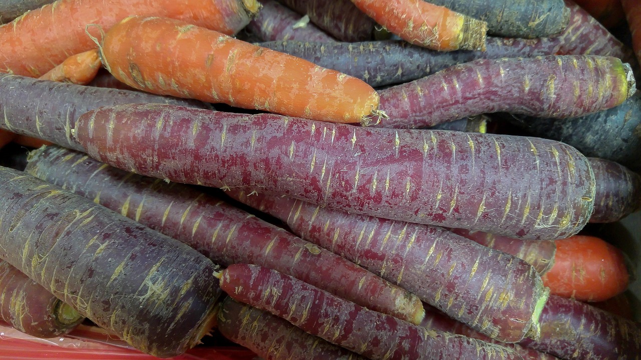 Purple Carrots: Ancient Roots With Modern Appeal (image credits: pixabay)