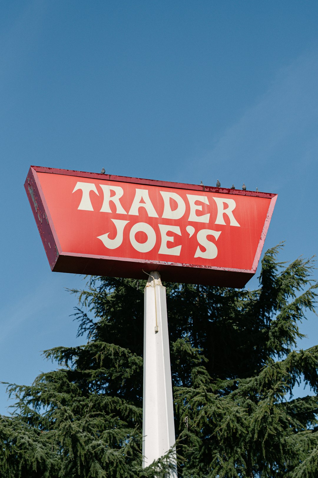 Trader Joe's Brand - The Culinary Adventurer's Choice (Image Credits: Unsplash)