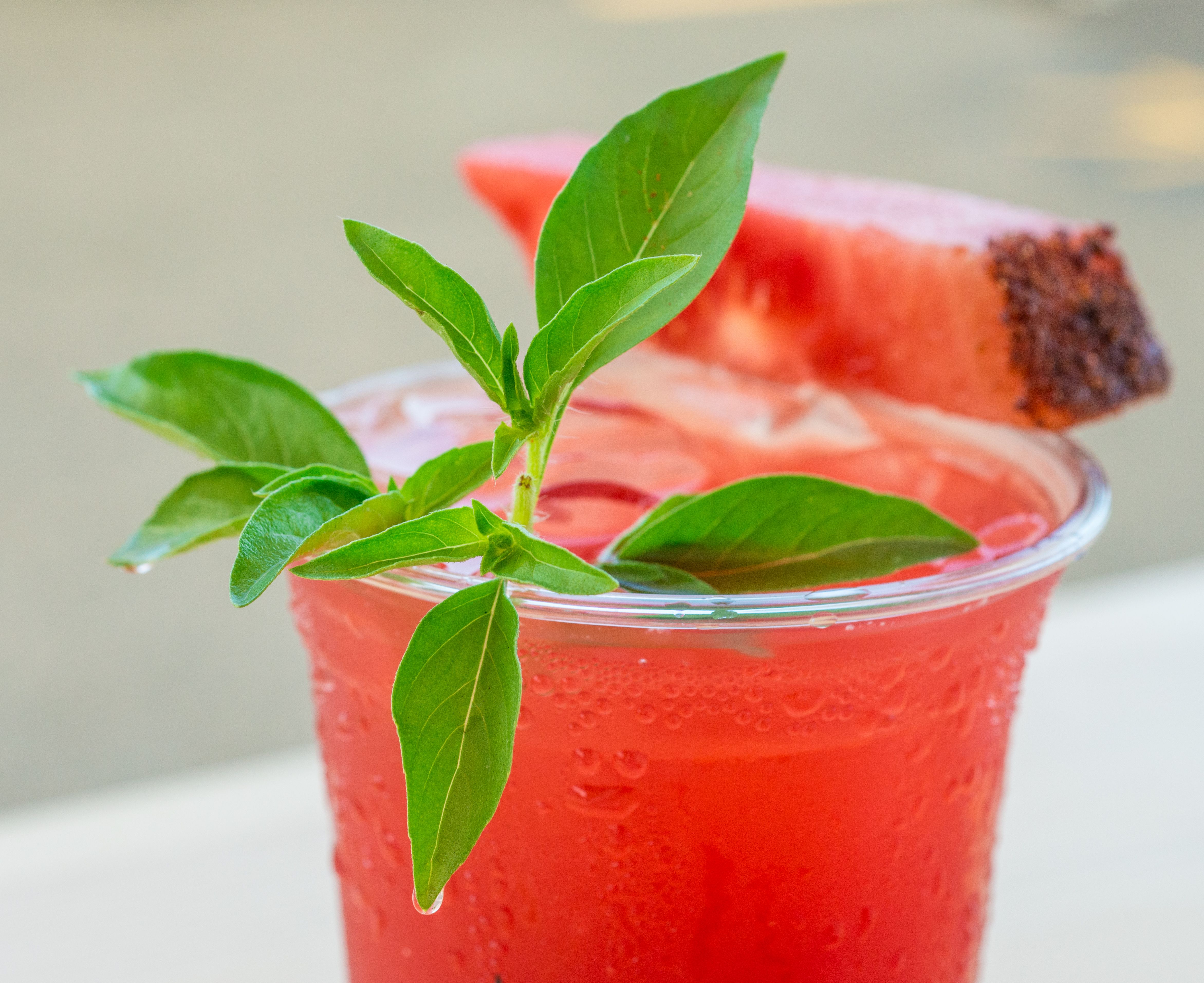 Tart Cherry Juice—A Melatonin Powerhouse (image credits: wikimedia)