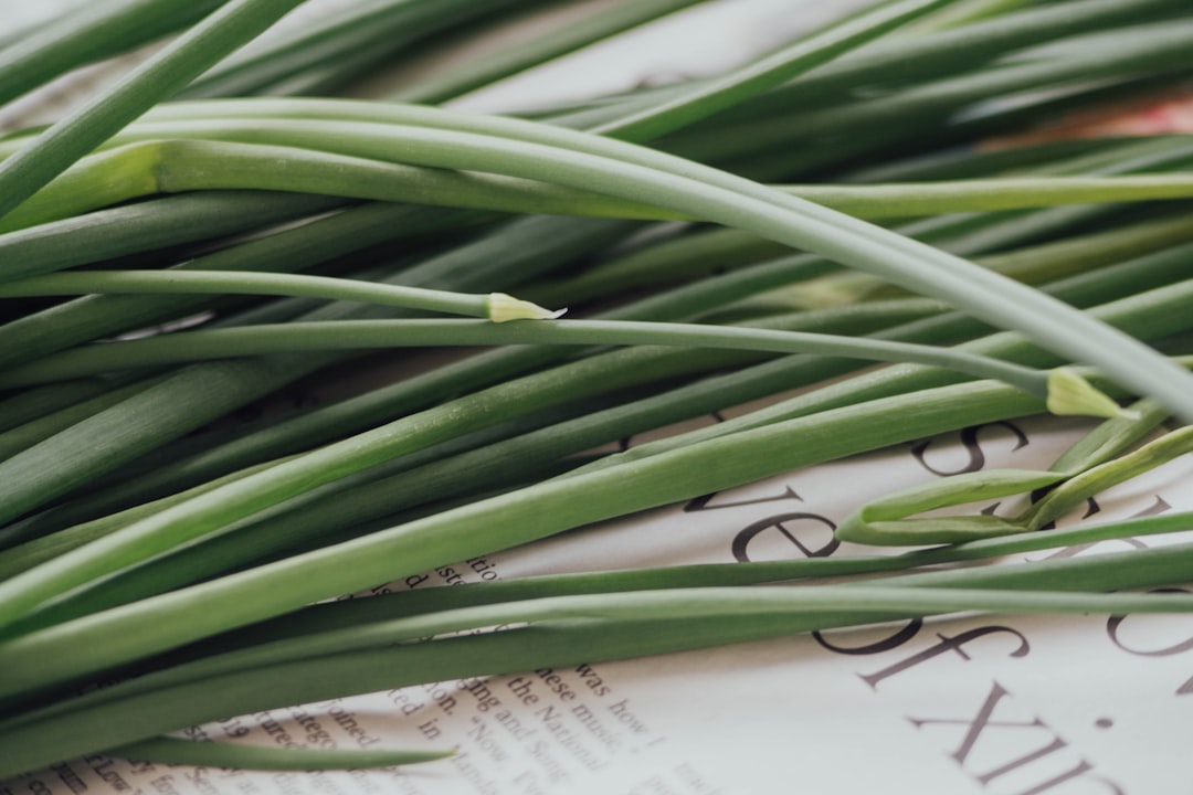 Introduction to Lemongrass (image credits: unsplash)