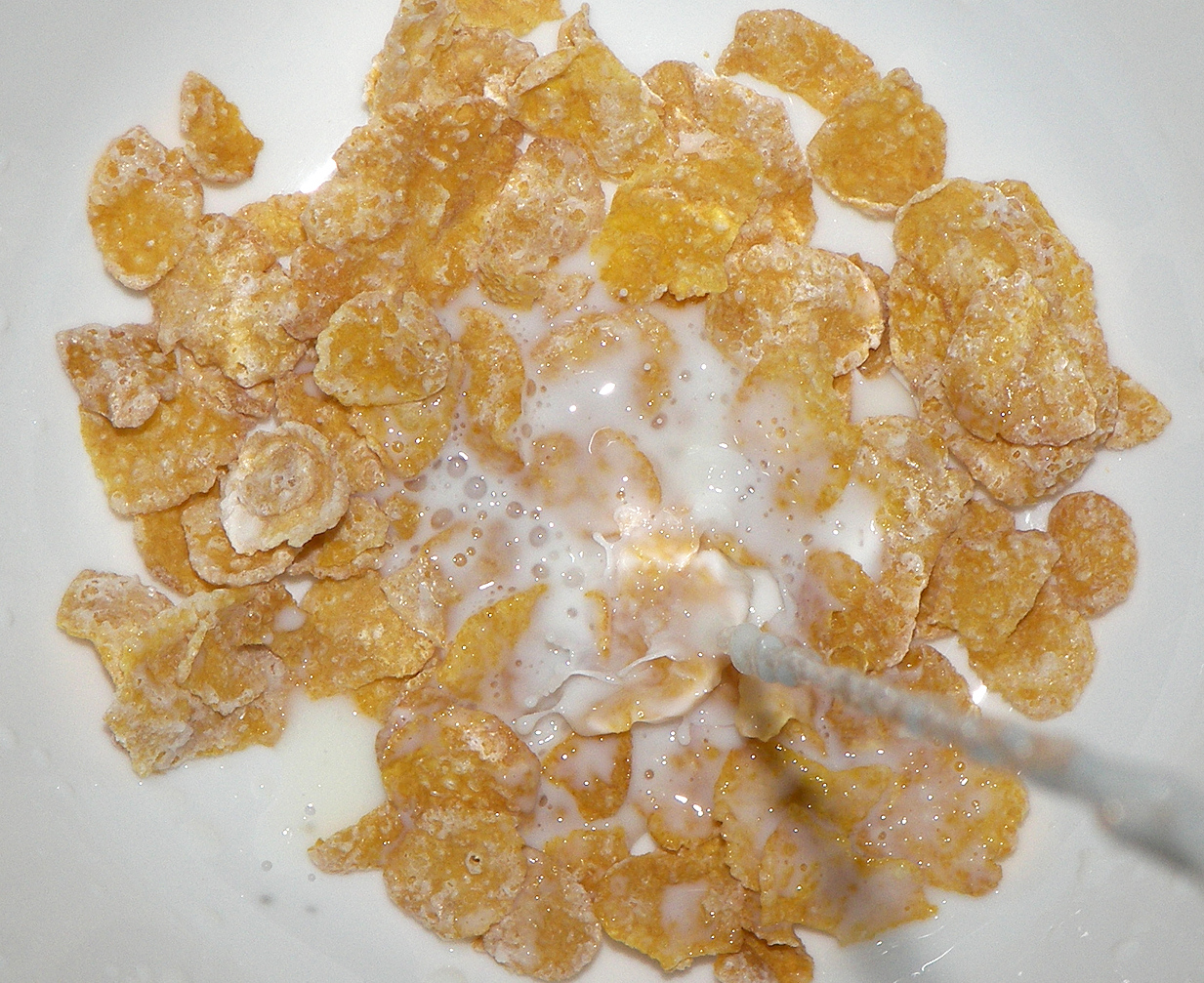 Frosted Flakes (image credits: wikimedia)